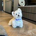 Avatar Carmina Valadez